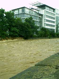 weißeritz, nähe würzburger str.